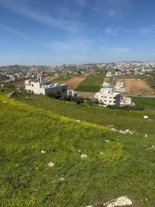 Land for sale in Marj Al Hamam – photo 8