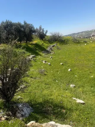 Land for sale in Marj Al Hamam – photo 4