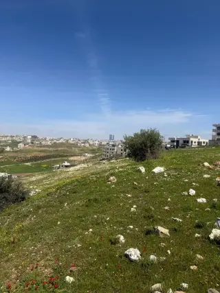 Land for sale in Marj Al Hamam – photo 2