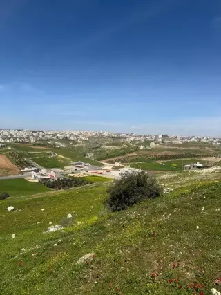 Land for sale in Marj Al Hamam – photo 6