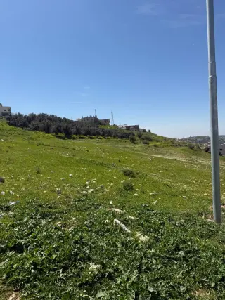 Land for sale in Marj Al Hamam – photo 3