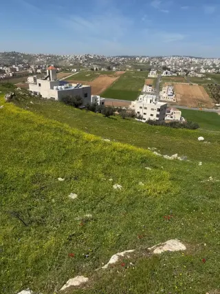 Land for sale in Marj Al Hamam – photo 7