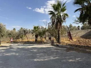 Land for sale in Umm Al-Amad – photo 11