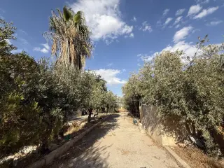 Land for sale in Umm Al-Amad – photo 7