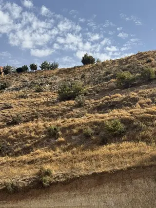 Land for sale in Wadi Al Seer – photo 4