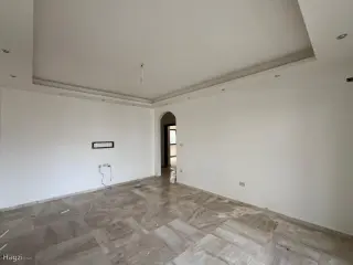 الصورة 11 من 12