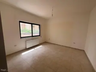 الصورة 8 من 12