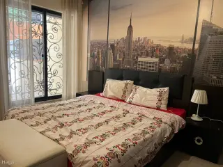 الصورة 2 من 10