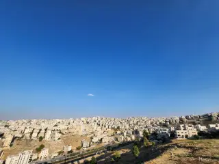الصورة 8 من 12