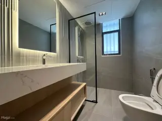 الصورة 3 من 12
