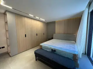 الصورة 2 من 12