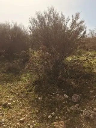 Land for sale in Birayn – photo 15