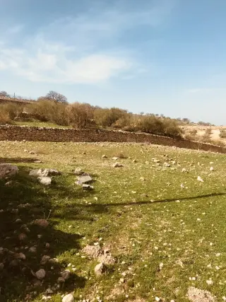 Land for sale in Birayn – photo 3