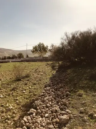 Land for sale in Birayn – photo 13