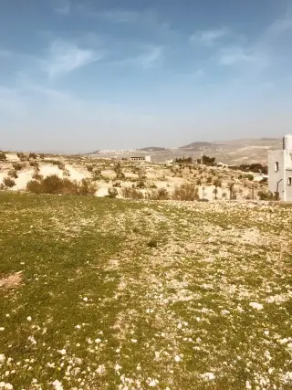 Land for sale in Birayn – photo 4