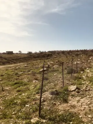 Land for sale in Birayn – photo 9