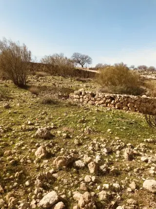 Land for sale in Birayn – photo 14