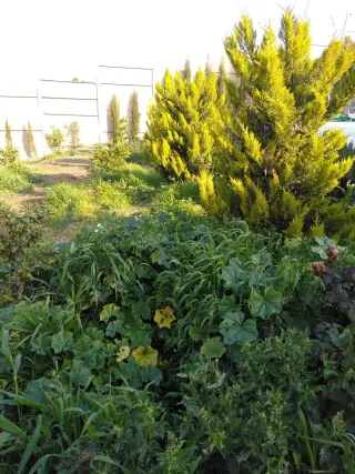 Land for sale in Birayn – photo 15