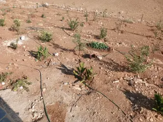 أرض للبيع في Birayn – صورة 3