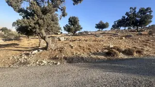 Land for sale in Sarout – photo 4