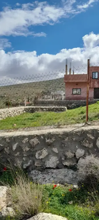 Land for sale in Sarout – photo 7