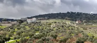 Land for sale in Sarout