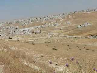 Land for sale in Graiba – photo 4