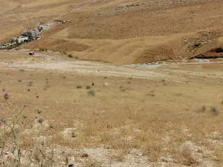 Land for sale in Graiba – photo 2