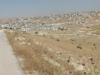 Land for sale in Graiba – photo 16