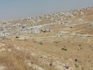 Land for sale in Graiba – photo 14