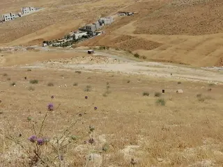 Land for sale in Graiba – photo 13