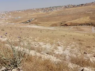 Land for sale in Graiba – photo 18
