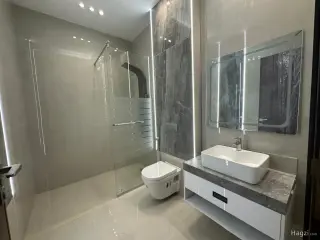 الصورة 11 من 12