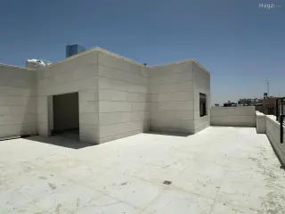 الصورة 1 من 12
