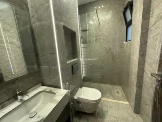 الصورة 11 من 12