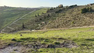 Land for sale in Al Balqa' – photo 10