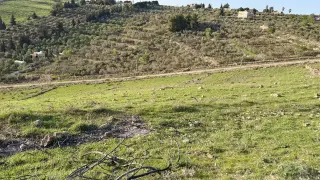 Land for sale in Al Balqa' – photo 13