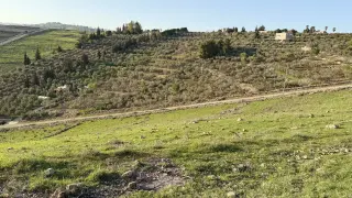 Land for sale in Al Balqa' – photo 15
