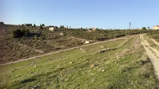 Land for sale in Al Balqa' – photo 11