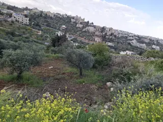 Land for sale in Al Balqa' – photo 3