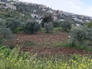 Land for sale in Al Balqa' – photo 2
