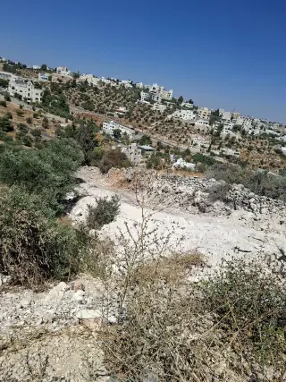 Land for sale in Al Balqa' – photo 8