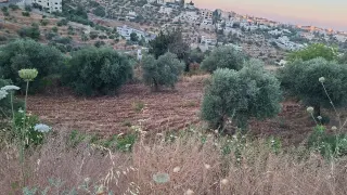 Land for sale in Al Balqa' – photo 5