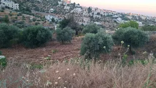 Land for sale in Al Balqa' – photo 4