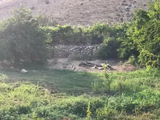 Land for sale in Al Balqa'