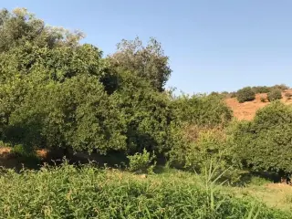 Land for sale in Al Balqa' – photo 7
