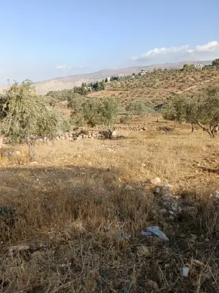 Land for sale in Other – photo 2