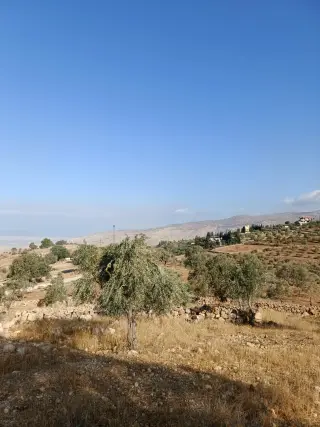 Land for sale in Other – photo 5
