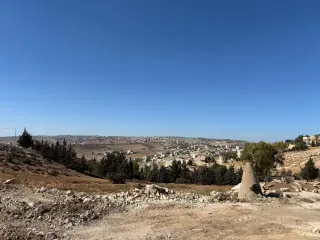 Land for sale in Al Saro – photo 5
