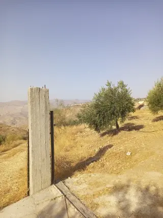 Land for sale in Al Subeihi – photo 8